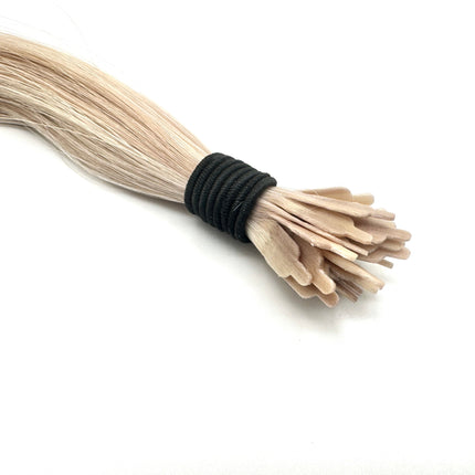 CHAMPAGNE MANE TIPS