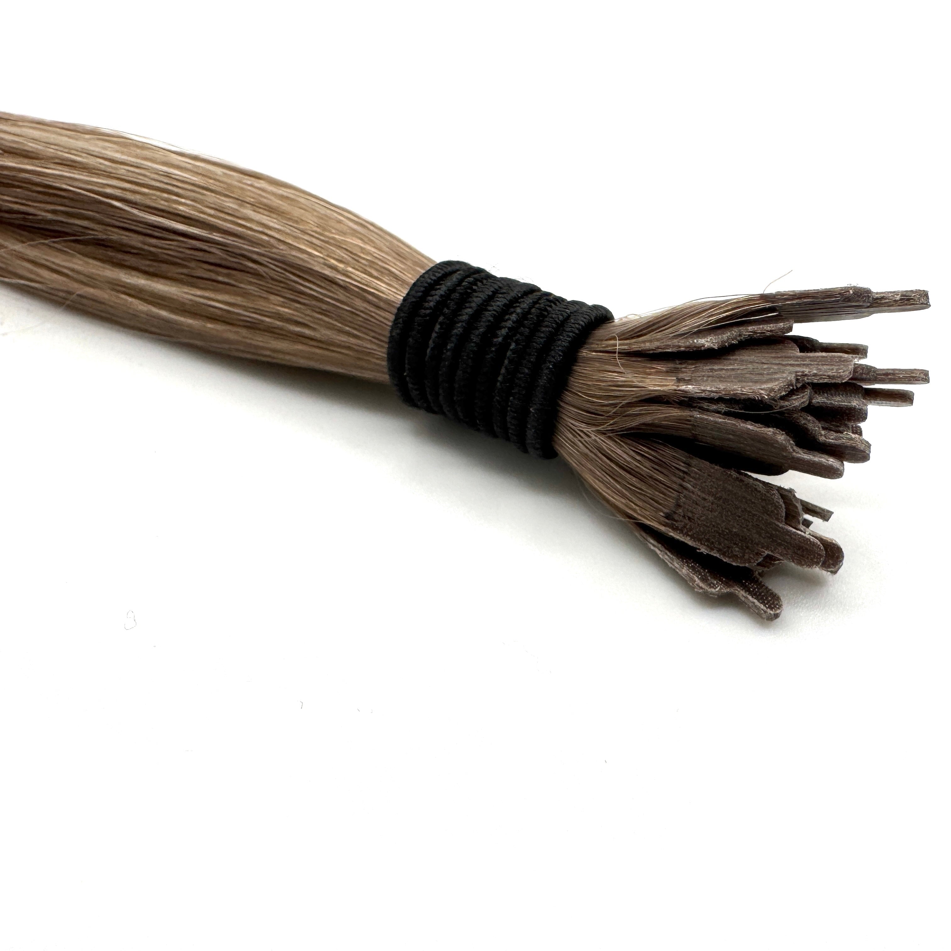 BRONDE MANE TIPS