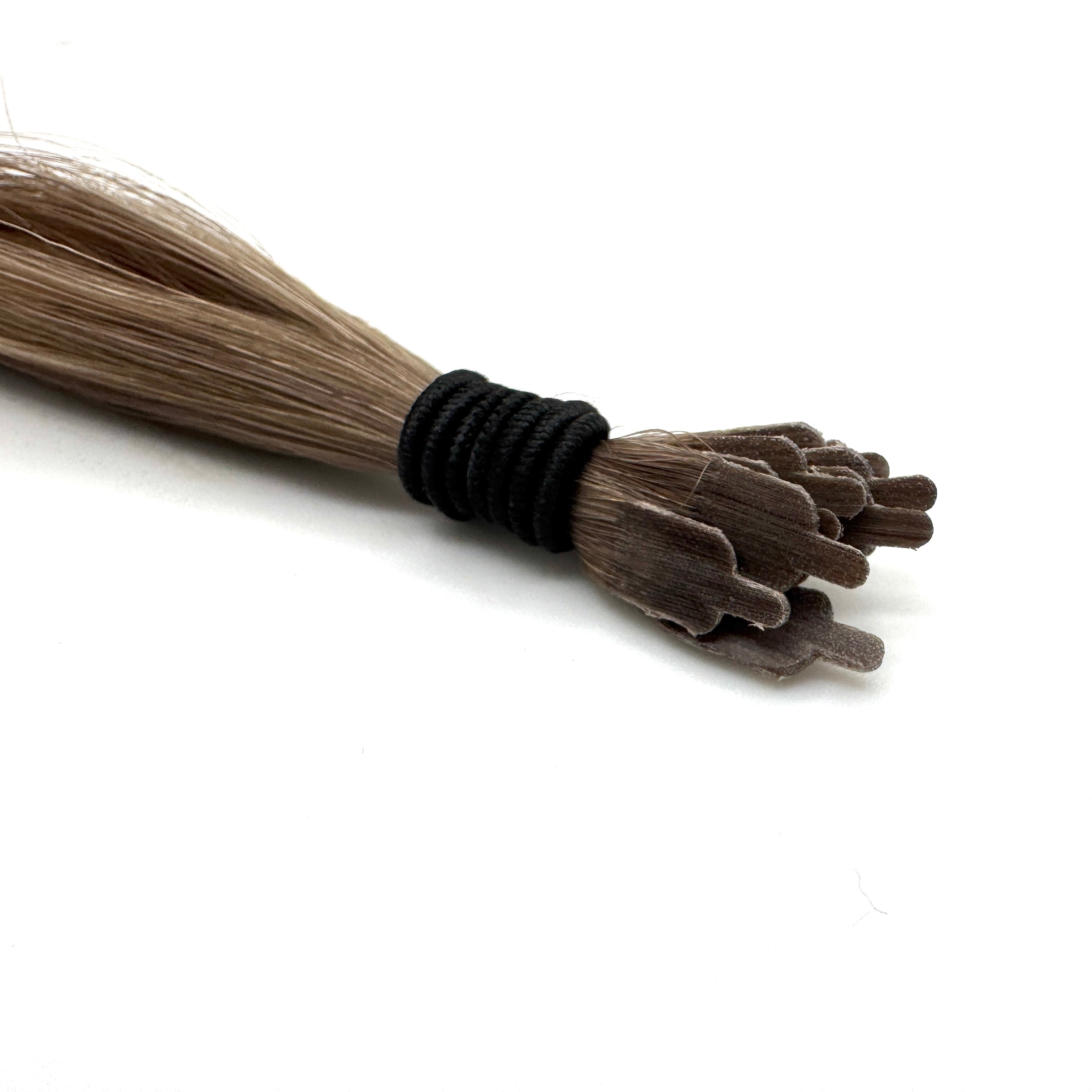 BRONDE MANE TIPS