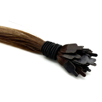 SALTED CARAMEL MANE TIPS