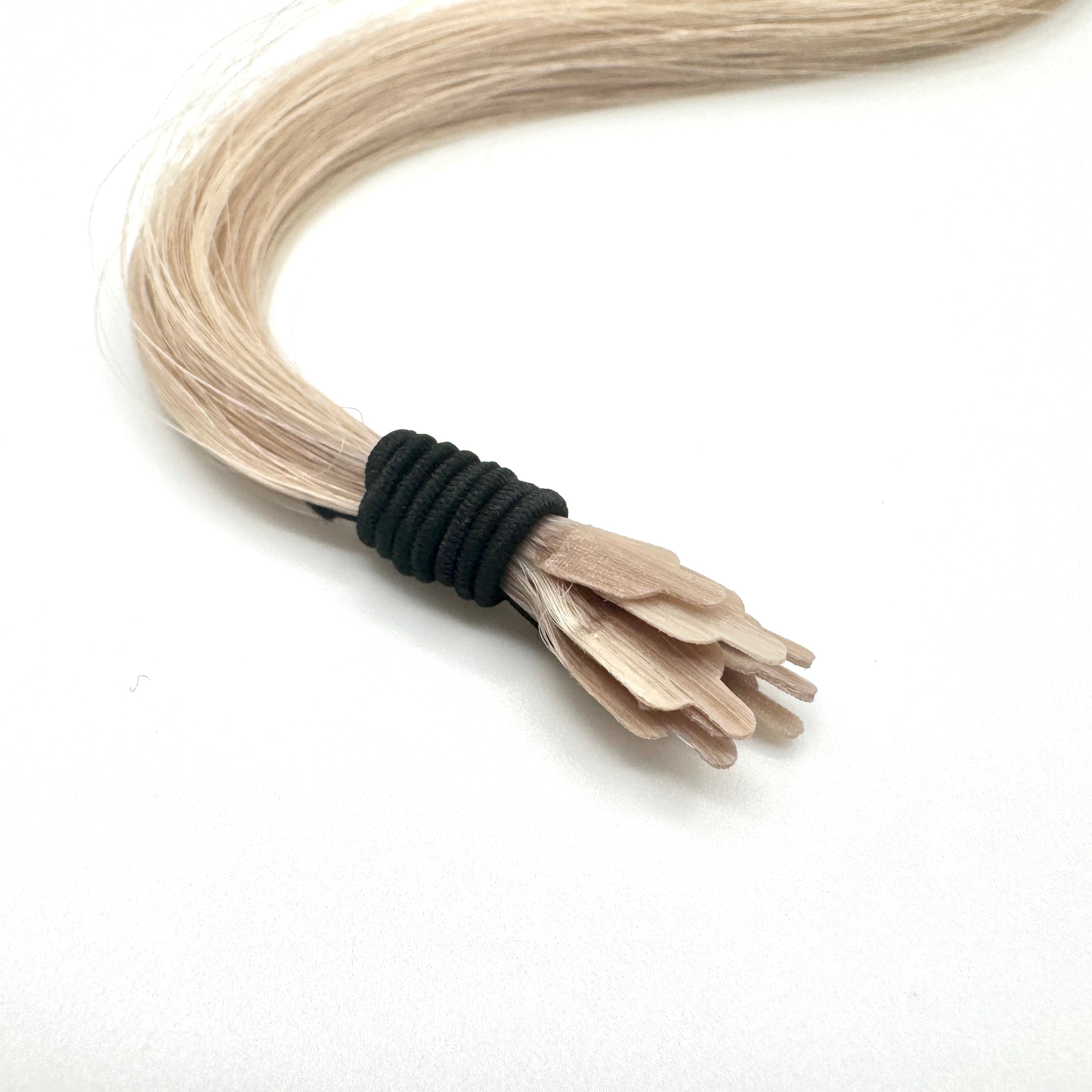 CHAMPAGNE MANE TIPS