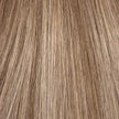 BRONDE MANE TIPS