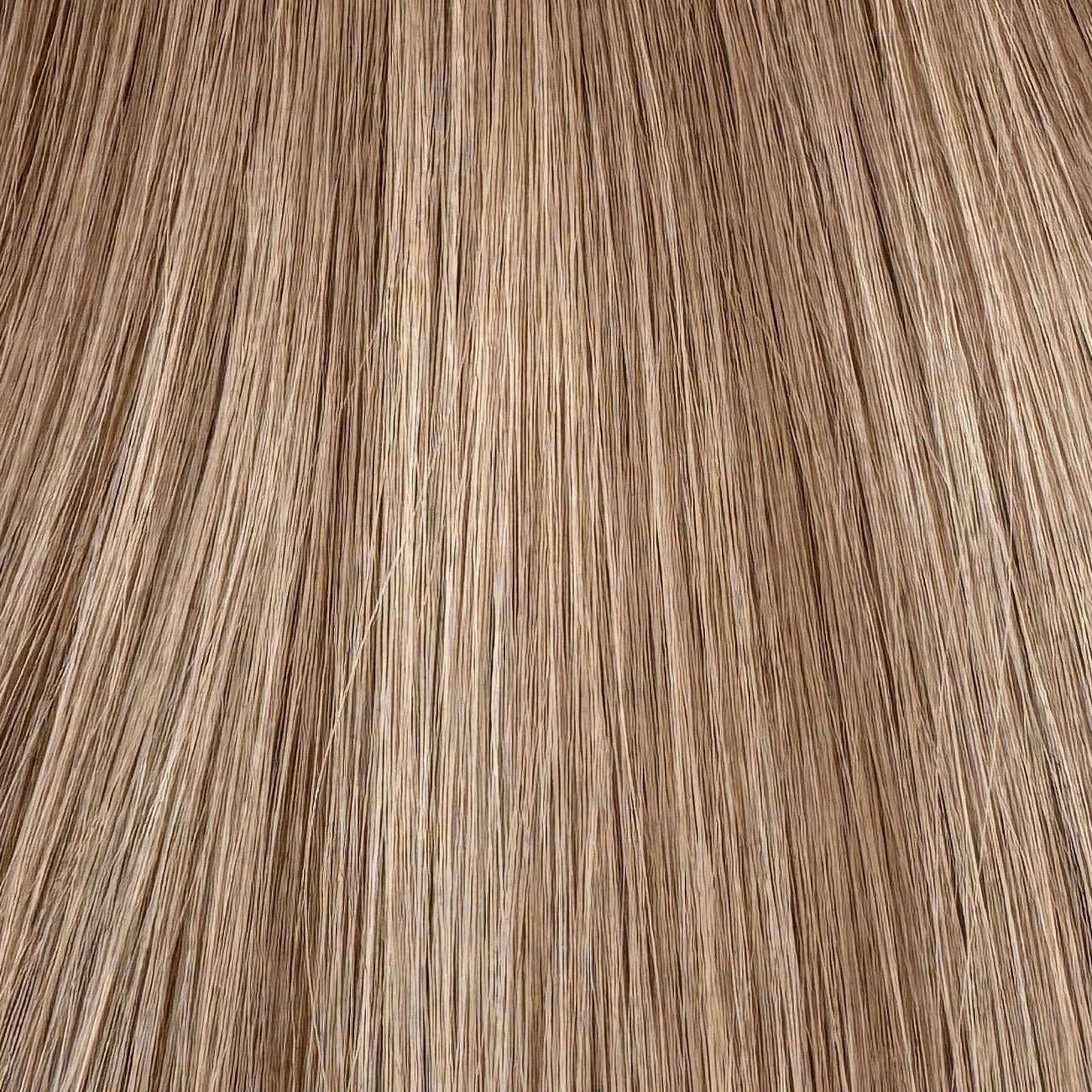 BRONDE MANE TIPS