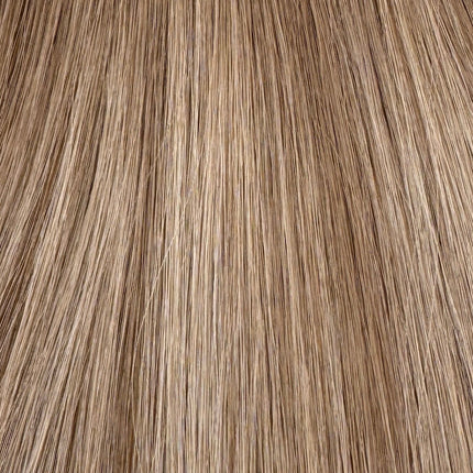 BRONDE MANE TIPS